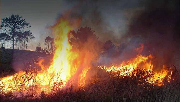 Comitê Nacional estabelece regras obrigatórias para prevenção de incêndios em áreas rurais