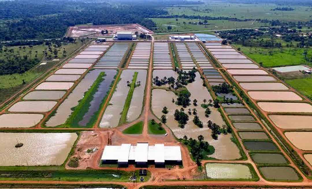 Avaliado em R$ 19 milhões, Complexo Peixes da Amazônia não atrai investidores; leilão está marcado para o dia 15 deste mês