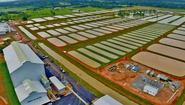 Justiça do Acre inicia leilão do complexo industrial da Peixes da Amazônia na segunda-feira, 15