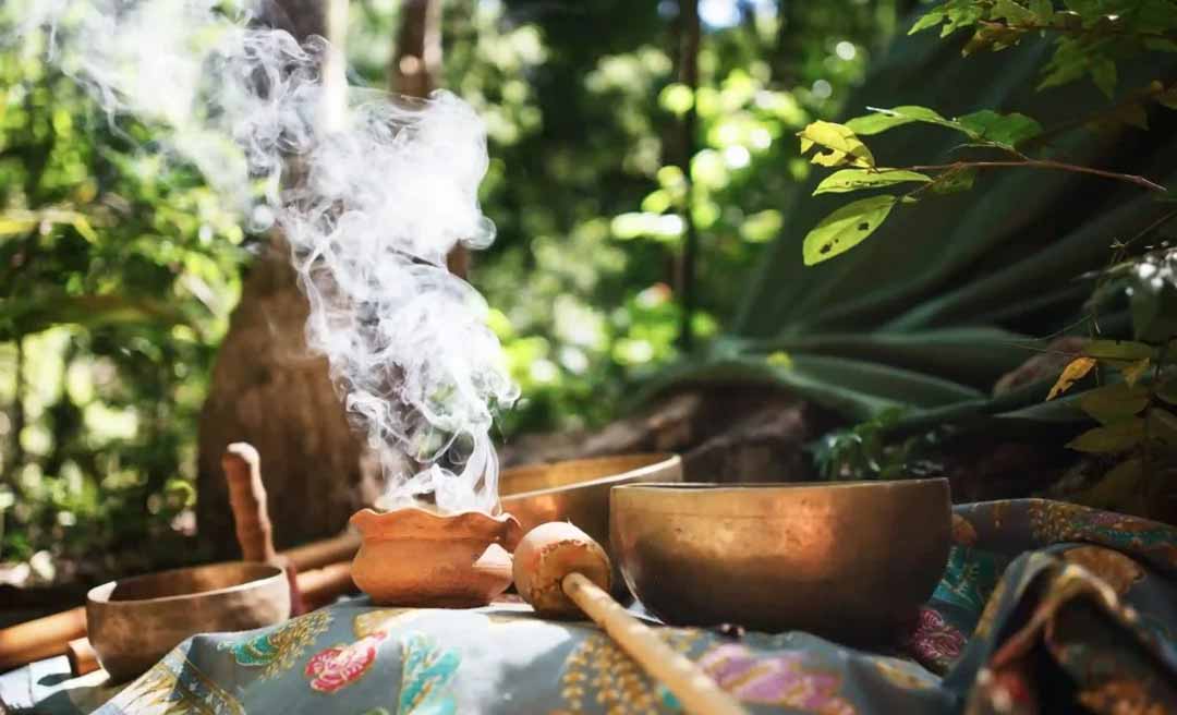 Governo do Acre aprova lei que regulamenta extração de plantas usadas em rituais com ayahuasca