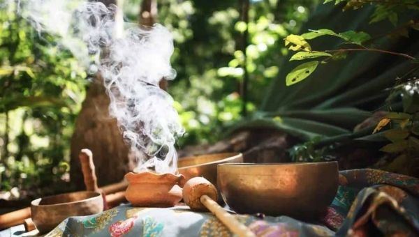 Governo do Acre aprova lei que regulamenta extração de plantas usadas em rituais com ayahuasca