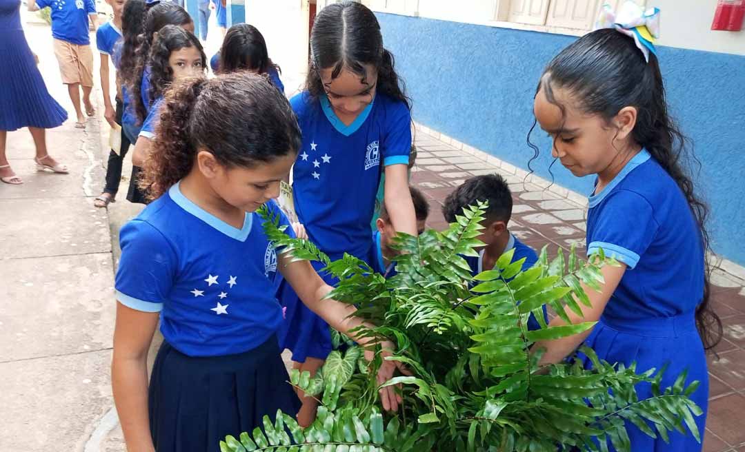 Projeto Todos Contra o Aedes aegypti inicia segunda etapa com formação e Dia D de mobilização em Rio Branco