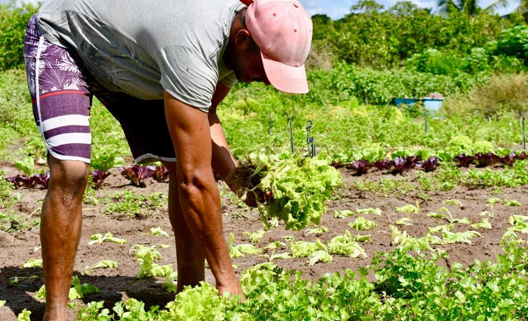 CMN cria linha de crédito de R$ 12 bilhões para socorrer produtores rurais afetados por eventos climáticos