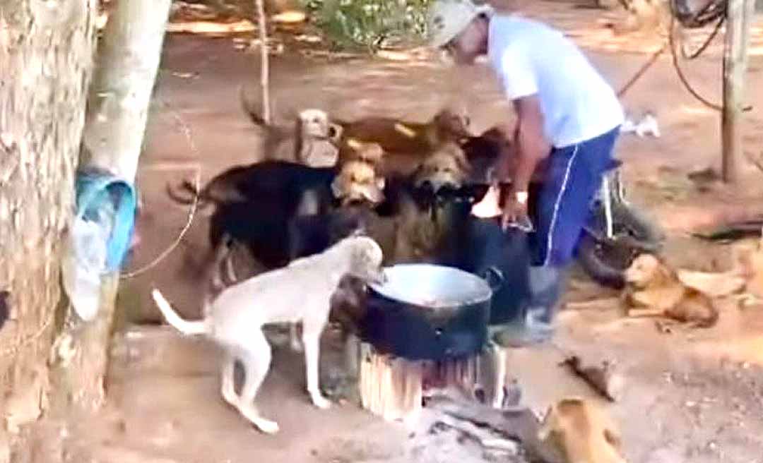 Ativista da causa animal pede apoio para idoso que cuida de mais de 30 animais abandonados em Rio Branco