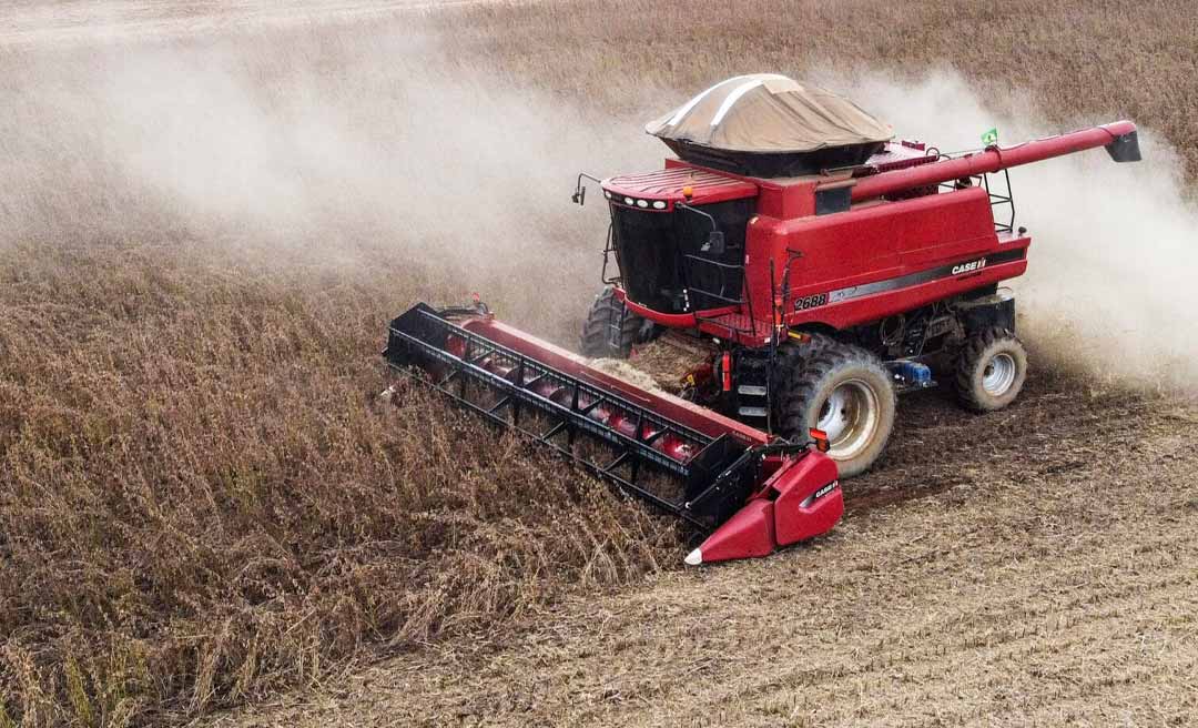Soja puxa balança comercial do Acre para cima, porém pressiona pecuária extensiva para a abertura de novas áreas