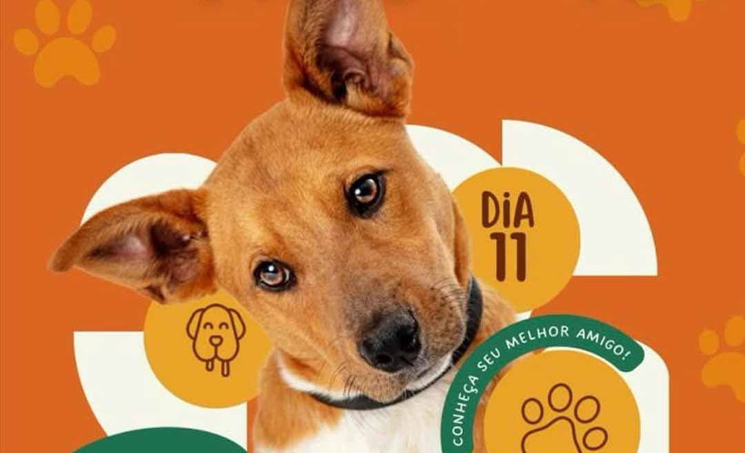 Feira de Adoção chega à 3ª edição em Rio Branco; evento acontece no dia 11 deste mês no bairro Estação Experimental