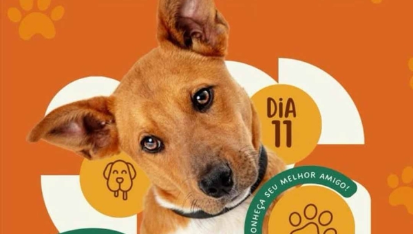 Feira de Adoção chega à 3ª edição em Rio Branco; evento acontece no dia 11 deste mês no bairro Estação Experimental