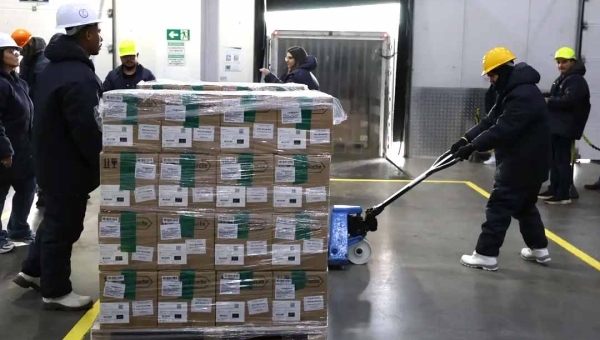 Brasil recebe lote de medicamento para tratar câncer de mama no SUS