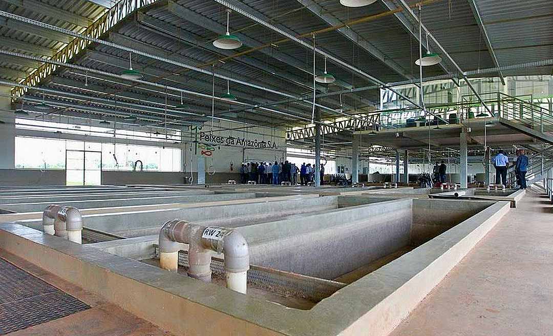 Complexo Industrial Peixes da Amazônia volta a leilão com lance mínimo de R$ 9,5 milhões