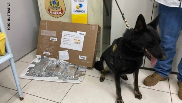 Acreana que enviou drogas pelos Correios é condenada por tráfico interestadual