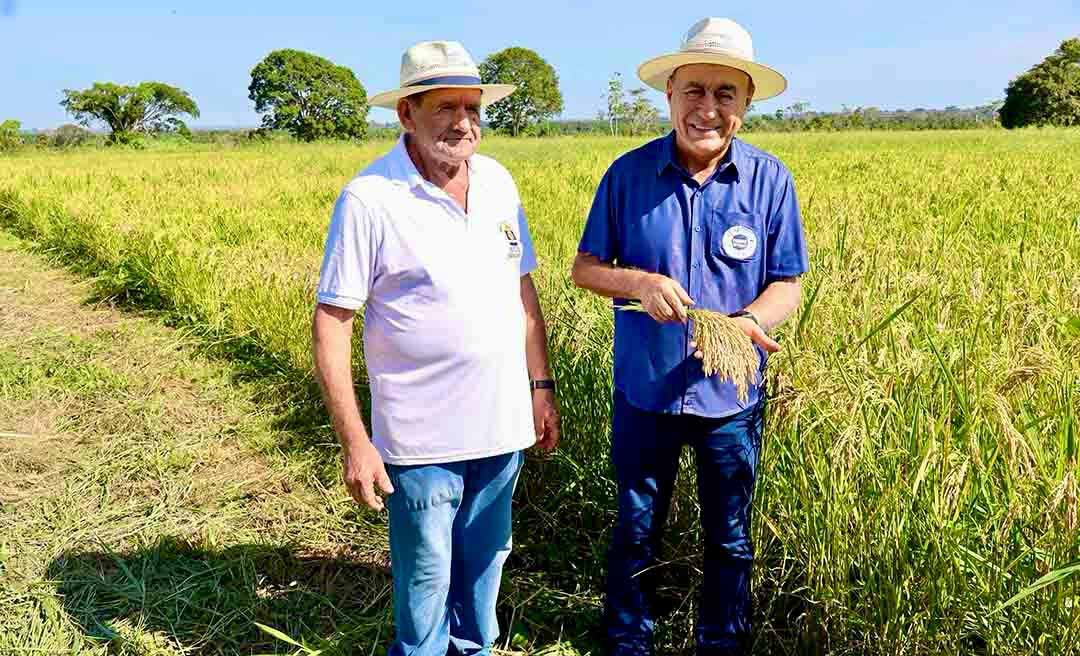 “Tremenda injustiça”: Bocalom critica rejeição de título honorífico ao secretário da Seagro