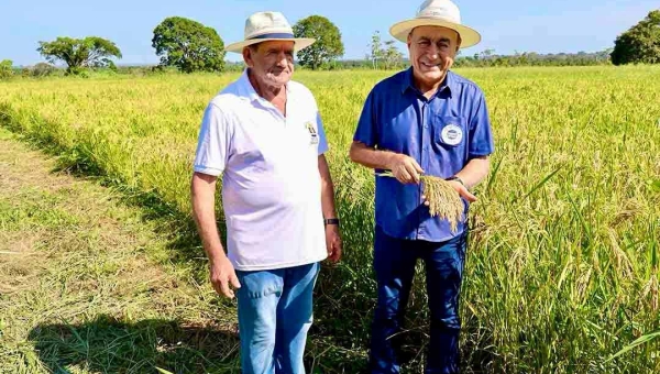 “Tremenda injustiça”: Bocalom critica rejeição de título honorífico ao secretário da Seagro