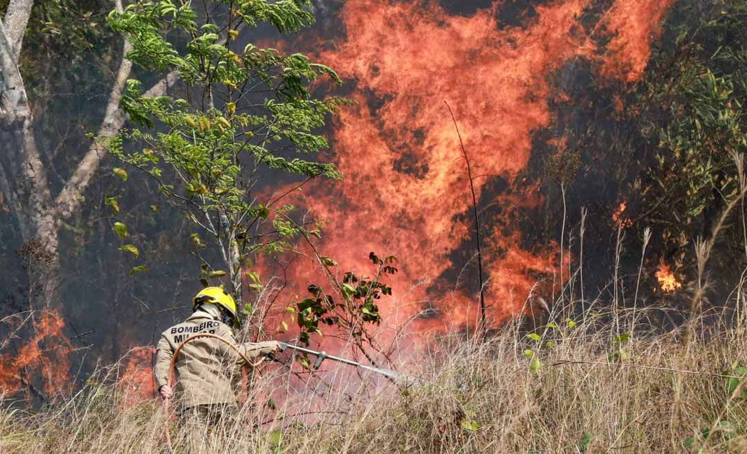 Queimadas têm reduzido a expectativa de vida dos acreanos em 2,5 anos, mostra estudo