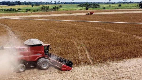 Soja impulsa positivamente o PIB do Acre e coloca estado em destaque no país