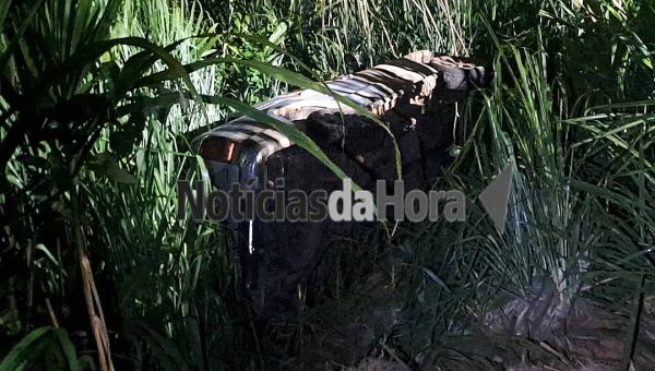 Motorista perde o controle de caminhonete e capota após desviar de animal silvestre em rodovia de Rio Branco