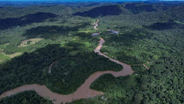 Conselho que vai tratar da criação da Floresta Estadual do Afluente do Complexo do Seringal Jurupari é instituído