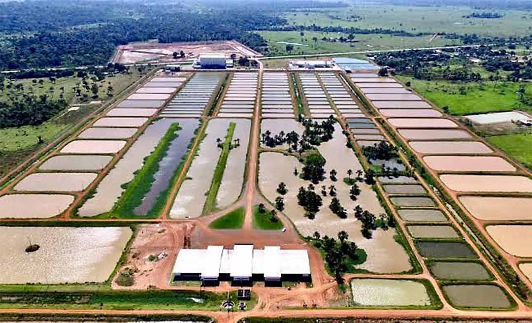 Complexo Industrial Peixes da Amazônia é vendido por R$ 13,1 milhões em 24 parcelas