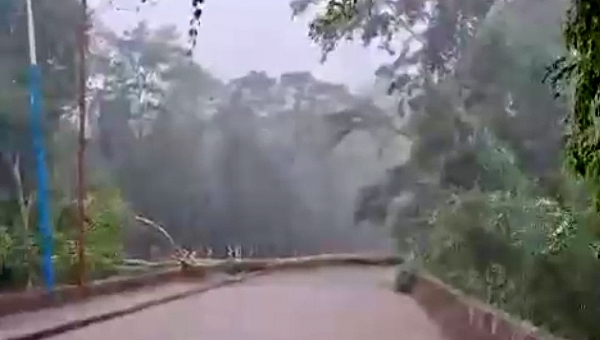 Temporal causa queda de energia, derruba árvore e provoca bloqueio em rua no bairro Placas, em Rio Branco