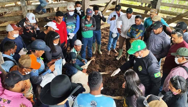 Idaf promove curso de agente vacinador para fortalecer controle da brucelose em Feijó