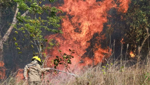 Estado cria Grupo Operacional de Comando, Controle e Gestão Territorial para enfrentamento às queimadas