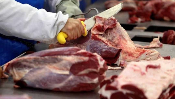 Cotas impostas pela China à carne bovina brasileira ameaçam exportações e pressionam o setor rural