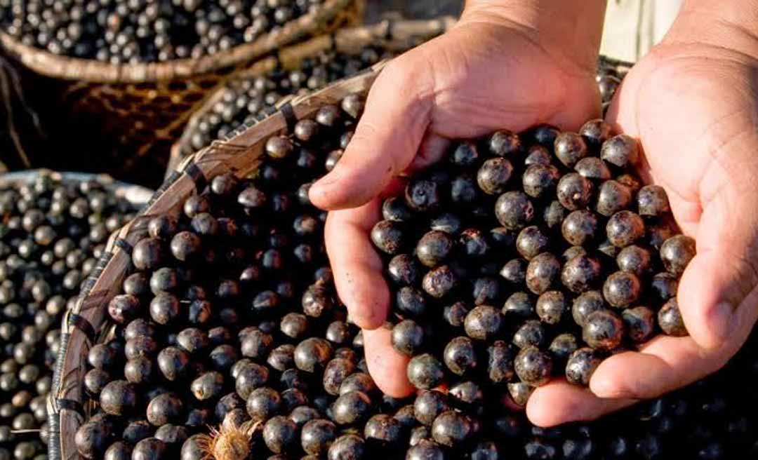 Acre é contemplado em portaria federal que garante bônus do PGPAF a agricultores familiares