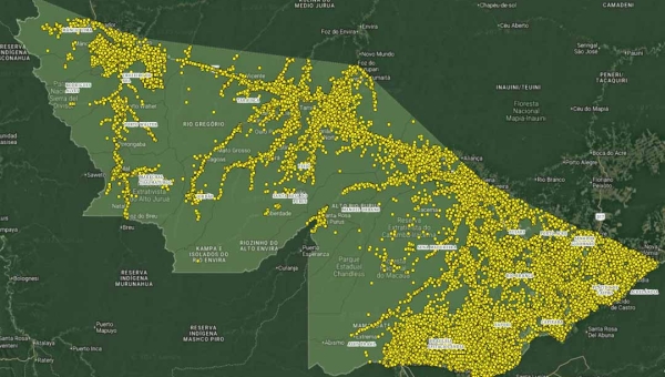 Idaf apresenta dados oficiais da Campanha de Declaração de Rebanhos 2025 e aponta fortalecimento da agropecuária no Acre