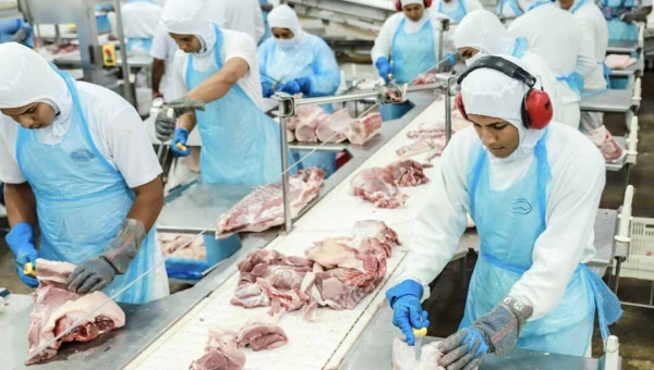 Em quatro anos, exportações do Acre cresceram quase 82%, mostra levantamento