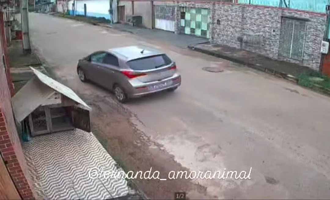 Ativista denuncia abandono de animais e alerta para possível retirada de casinha comunitária em Rio Branco: “Isso não é ajuda, isso é crueldade”