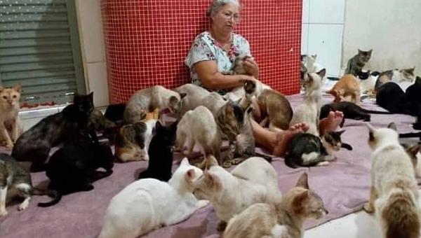 Protetora pede ajuda para pagar aluguel e manter abrigo com 138 animais, entre cães e gatos, em Rio Branco