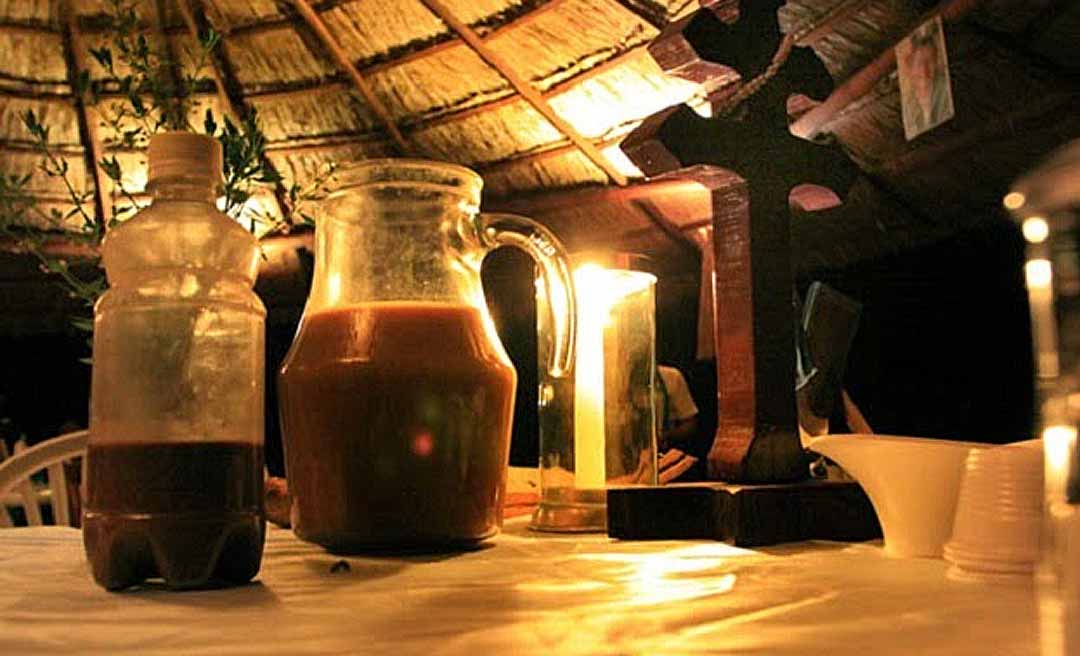 Acre precisa agir para proteger o Santo Chá Sagrado e barrar o comércio ilegal da ayahuasca