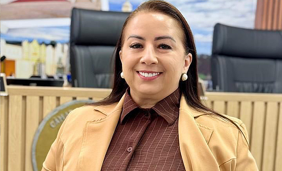 Vereadora Elzinha Mendonça vê como positivo o primeiro ano legislativo e afirma que compromisso para 2026 será com a população