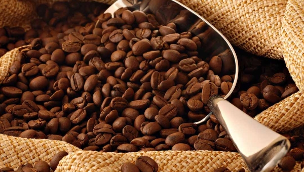 Ministério da Agricultura cria marca institucional “Funcafé” para dar mais transparência a ações financiadas pelo fundo cafeeiro