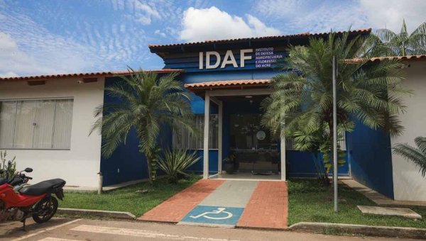 Cadastro de reserva do concurso do Idaf faz apelo a Gladson: ‘seria injusto com a gente deixar o prazo vencer’