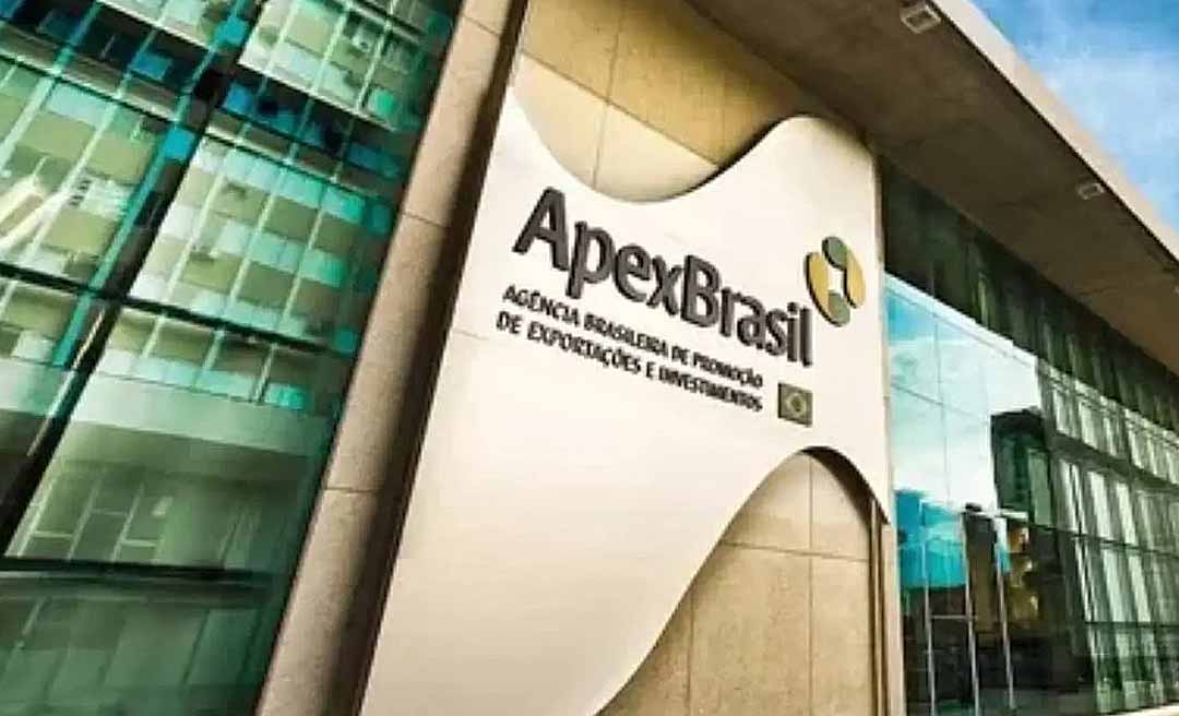 ApexBrasil lança novo plano e celebra avanço histórico de empresas lideradas por mulheres no comércio exterior
