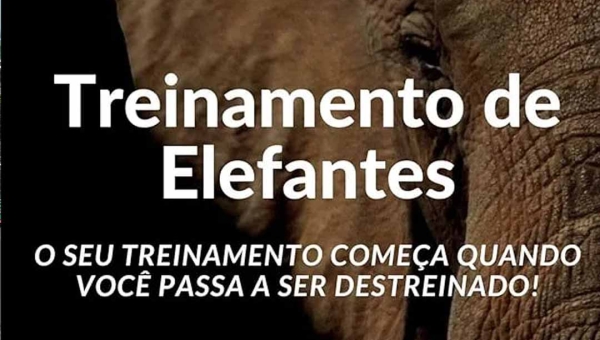 “Treinamento de Elefantes”: empreendedor brasileiro desafia líderes a romperem correntes invisíveis no mundo corporativo