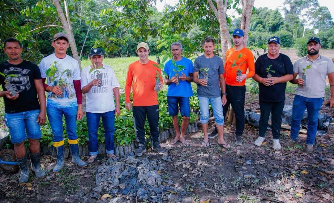 Zequinha Lima distribui 24 mil mudas de café nos rios Juruá Mirim e Valparaíso