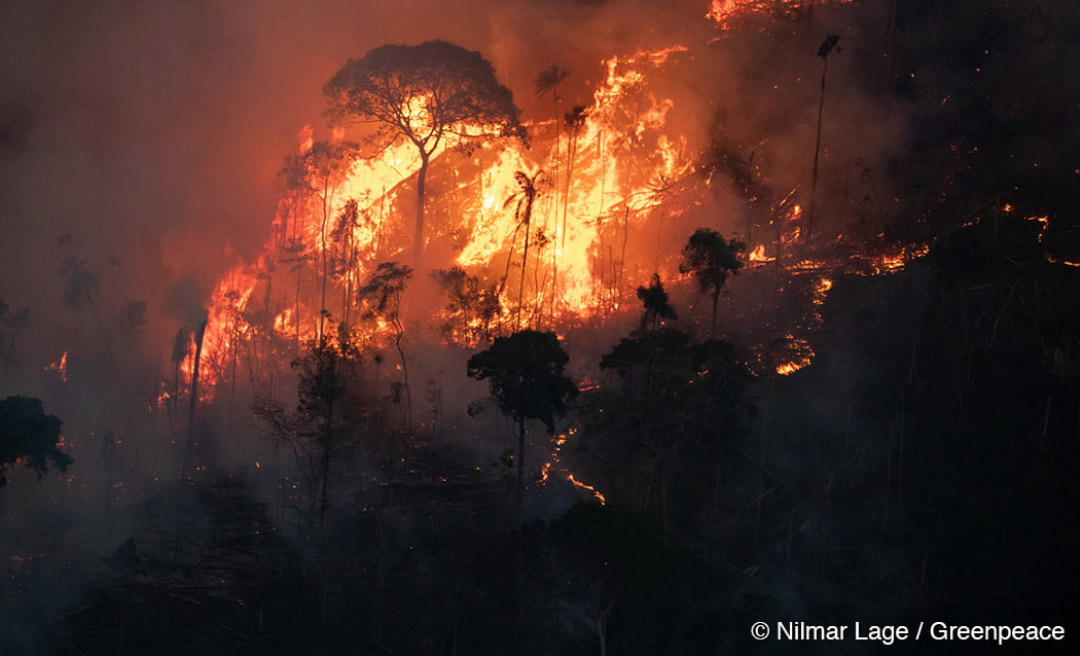 Vidente prevê forte seca no Acre e incêndios florestais com consequências sem precedentes