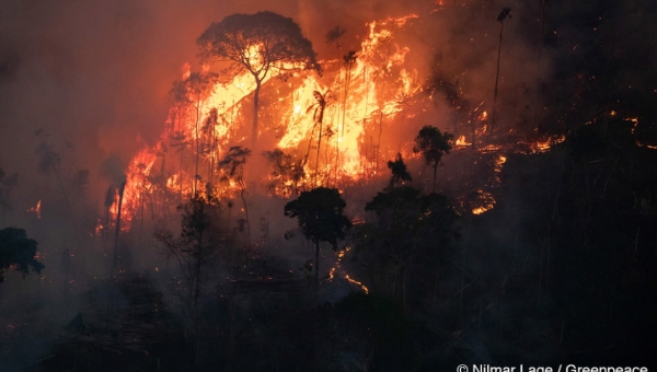 Vidente prevê forte seca no Acre e incêndios florestais com consequências sem precedentes