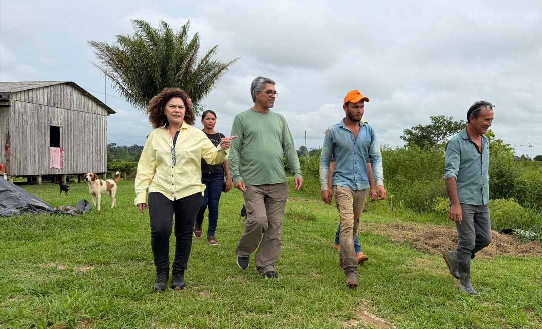 Produtores de Porto Acre ganham autonomia com implantação de mini-indústria de café