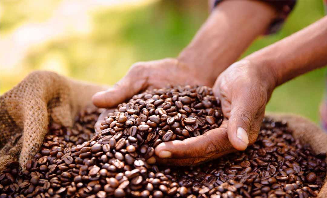 Bilhões para o café: Acre pode se beneficiar de novo ciclo de investimentos na cafeicultura