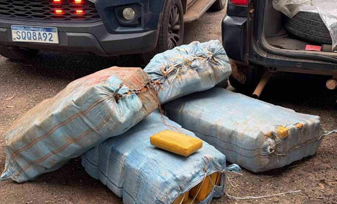 Polícias Civil e Rodoviária Federal apreendem mais de 230 kg de skunk durante operação na BR-364