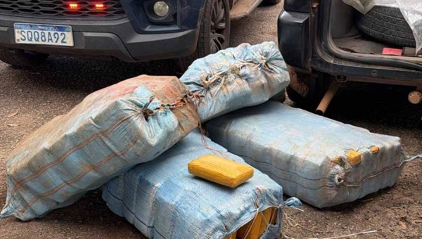 Polícias Civil e Rodoviária Federal apreendem mais de 230 kg de skunk durante operação na BR-364