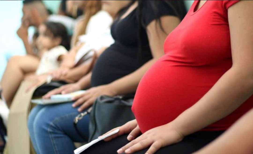 “Projeto do coração”, diz governadora Mailza ao celebrar sanção de lei que regulamenta profissão de doula no país