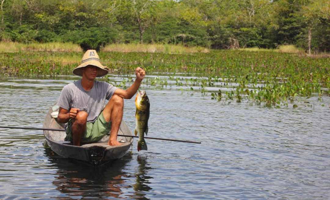 Projeto de Petecão garante a pescadores artesanais subsídio para gasolina; matéria foi aprovada na Comissão de Infraestrutura