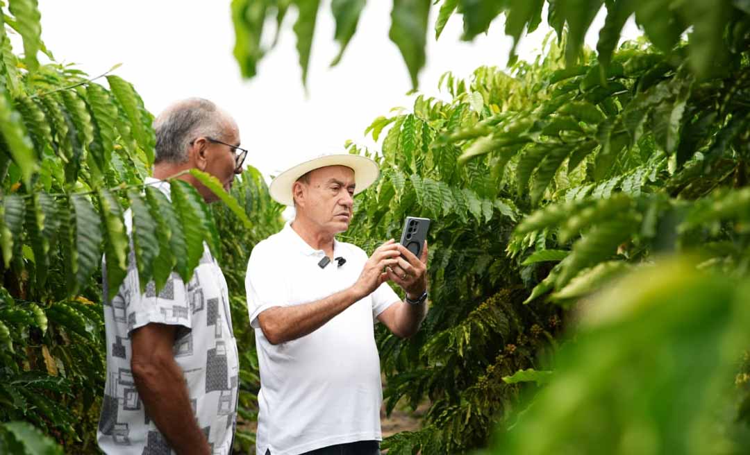 “Produzir para empregar”: Bocalom destaca força do café no Juruá e aposta no campo para desenvolver o Acre