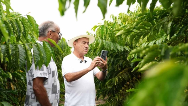 “Produzir para empregar”: Bocalom destaca força do café no Juruá e aposta no campo para desenvolver o Acre