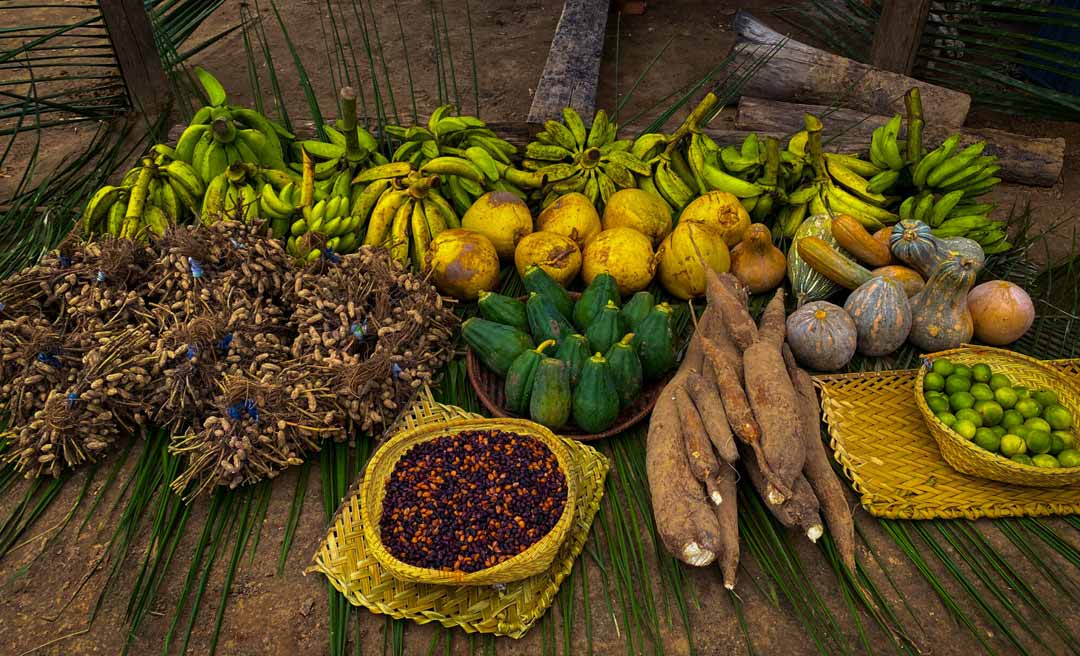 Novo PAA vai investir R$ 2,1 milhões na compra de alimentos de produtores unidades de conservação do Acre