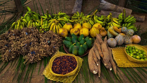 Novo PAA vai investir R$ 2,1 milhões na compra de alimentos de produtores unidades de conservação do Acre
