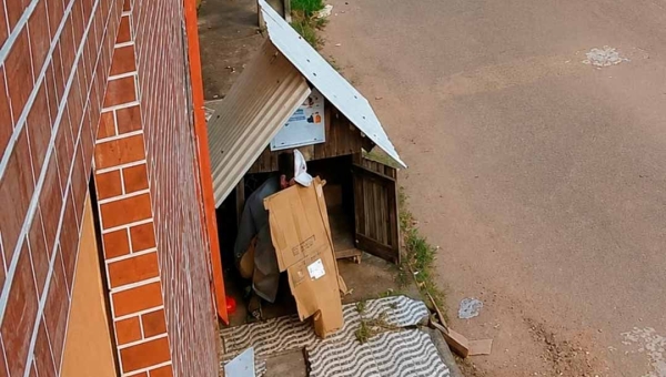 “Cada dia fica mais difícil”, desabafa ativista da causa animal após ato de vandalismo em casinha comunitária em Rio Branco